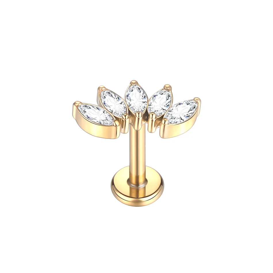 Titanium Crystal Ear Studs